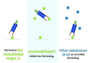 Achievements of monoclonal antibody mining from rabbits using “Ecobody” technology