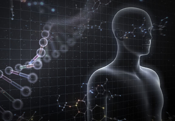 Human Monoclonal Antibody