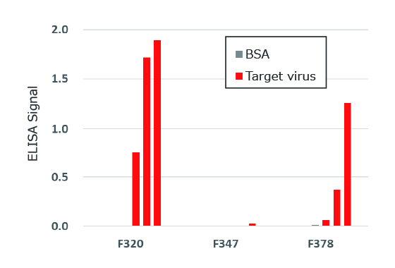 Virus-neutralizing monoclonal antibody was identified from the vaccinated volunteers’ blood
