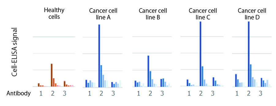 Monoclonal antibody recognizing a solid tumor