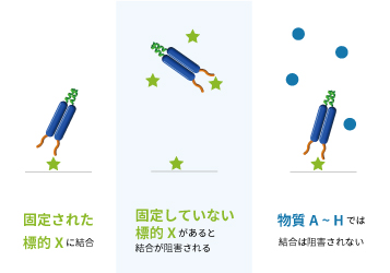 ウサギ抗体取得実績