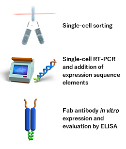 Mining desired antibodies using the “Ecobody” technology